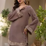 Dhanak Pret Embroidered Velvet 2 Piece Suit